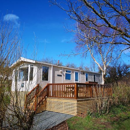 Red Squirrel Holiday Home In The Countryside, 10 Mins To Lligwy Beach Llandyfrydog Ngoại thất bức ảnh