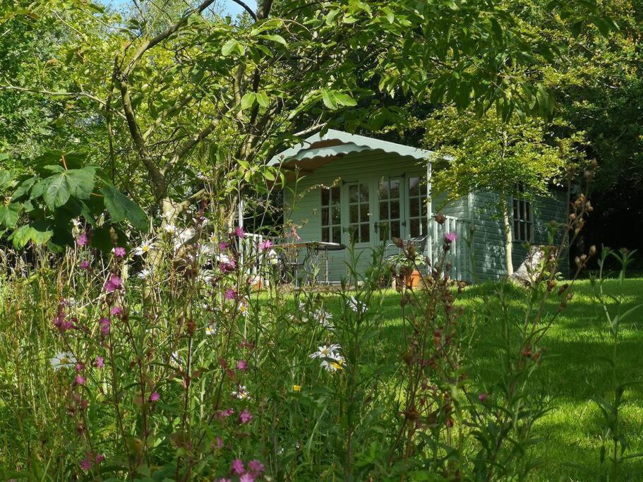 Red Squirrel Holiday Home In The Countryside, 10 Mins To Lligwy Beach Llandyfrydog Ngoại thất bức ảnh