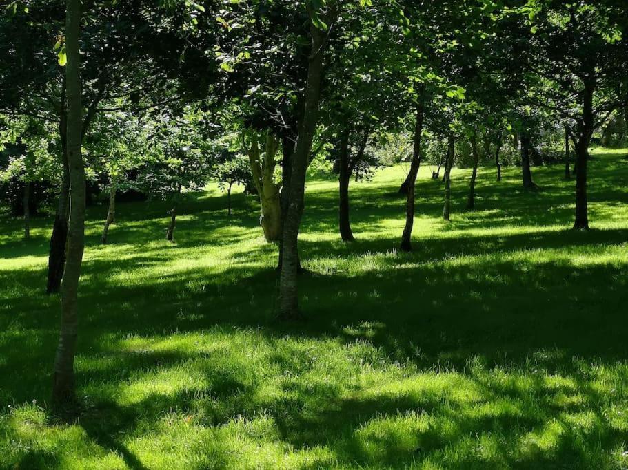 Red Squirrel Holiday Home In The Countryside, 10 Mins To Lligwy Beach Llandyfrydog Ngoại thất bức ảnh